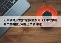 汇丰软件开发(广东)有限公司（汇丰软件开发广东有限公司是上市公司吗）