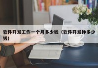 软件开发工作一个月多少钱（软件开发挣多少钱）