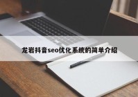 龙岩抖音seo优化系统的简单介绍