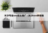 长沙专业seo优化推广（长沙seo网络推广）