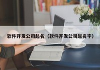 软件开发公司起名（软件开发公司起名字）